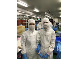 フリジポート熊本工場での食品製造スタッフ募集 おしごと発見t Site