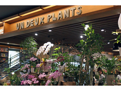 「UN DEUX PLANTS(ｱﾝﾄﾞｩﾌﾟﾗﾝﾂ) イオンモール広島府中店」のイメージ